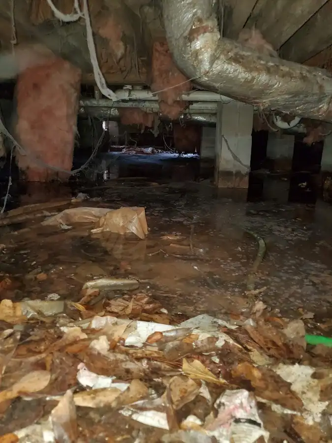 Crawl space flood assessment for Leak Detection & Repair in St. George