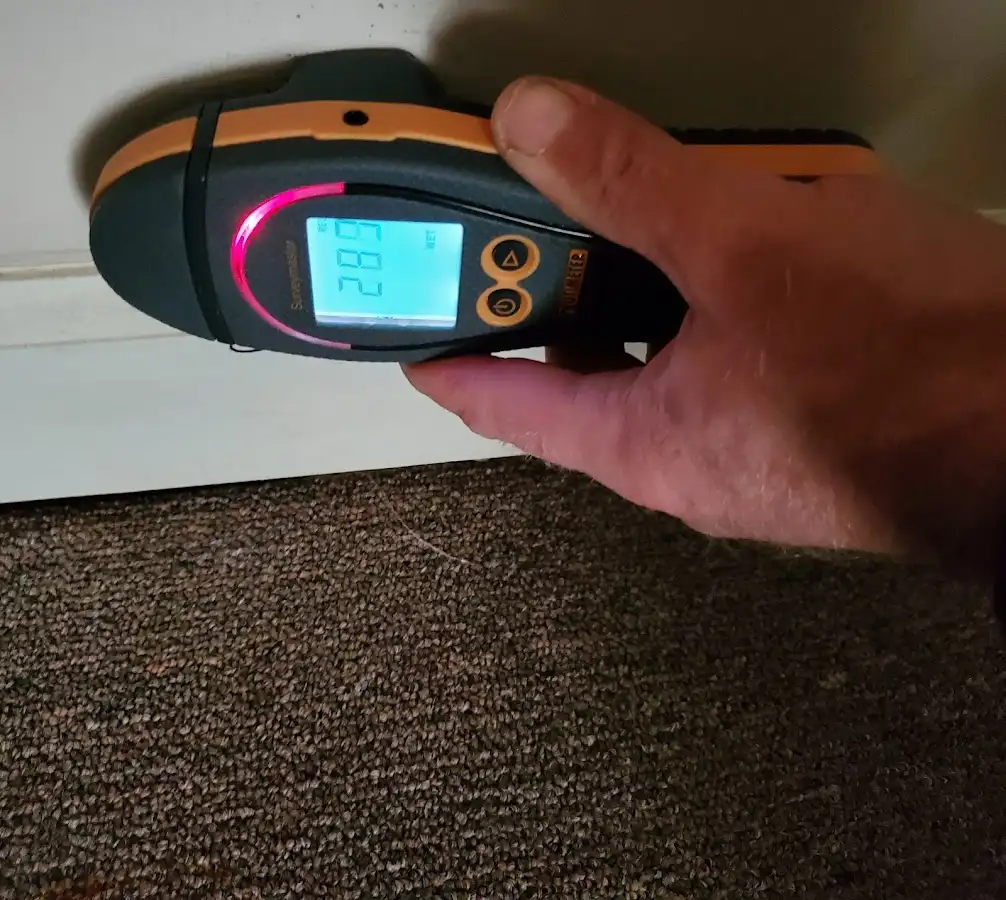 Moisture detection at baseboard during Sewage Cleanup & Sanitation in St. George